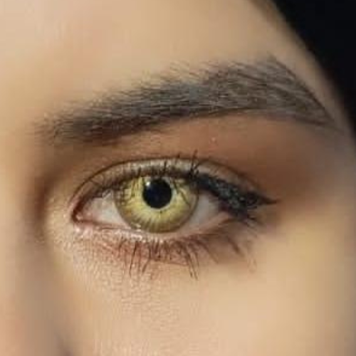 New York Brown Eyeshare